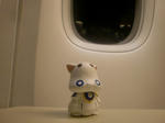CIMG0369.jpg