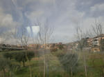 CIMG0381.jpg