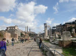 CIMG0425.jpg