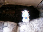 CIMG0700.jpg