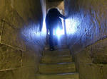 CIMG0744.jpg