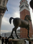 CIMG0962.jpg