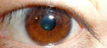 IMGP2373.JPG