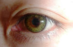 P1000041.JPG