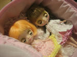 IMG_1352.JPG