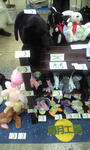 CA390217.jpg