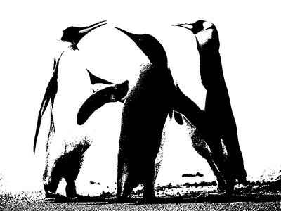 バイナリなペンギン