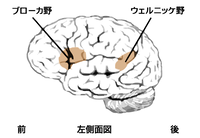 e33895e5.png