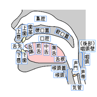 5ba5c41b.png