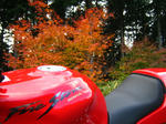 071114_2.jpg