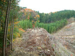 DSCF0009.JPG
