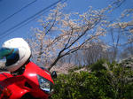 080406_1.jpg