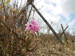 080504_2.jpg