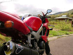 080504_3.jpg