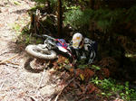P1020111.jpg