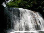 SANY0315.jpg