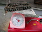 SANY0456.jpg