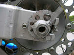 SANY0461.jpg
