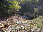 SANY0992.jpg