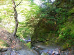 SANY0996.jpg