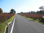 SANY1004.jpg