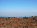 SANY1011.jpg