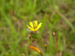 090704_2.jpg
