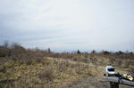 DSC01240-2.jpg
