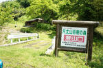 4f192d09.jpg