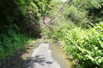 DSC01833.JPG