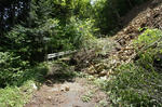 DSC01836.JPG