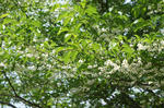 DSC01837.JPG