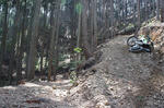 DSC01845.JPG