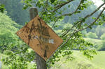 DSC01852.JPG