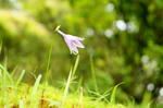 DSC02243-2.JPG