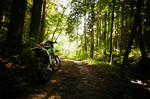 DSC02486_1.jpg