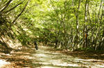 DSC02839-2.JPG