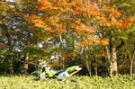 DSC03311-2.JPG