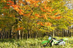 DSC03313-2.JPG