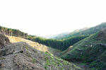 DSC03321-2.JPG