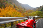 DSC03335-2.JPG