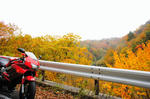 DSC03346-2.JPG