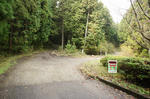 DSC03379-2.JPG