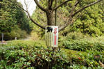 DSC03380-2.JPG