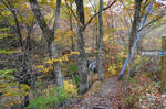 DSC03385-2.JPG