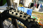 DSC03619-2.JPG