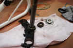 DSC03679-2.JPG