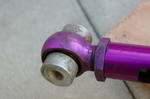 DSC03816-2.JPG