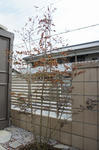 DSC04747-2.JPG