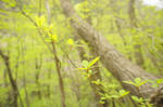 DSC05875-2.JPG